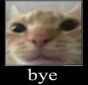 Byecat Discord Emoji