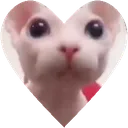 bingheart