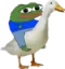 pepeDuck