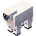 patched_sheep