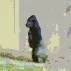 monke