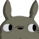 totoroStare