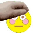 flushed_fiilis_pet