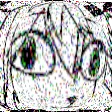 lappFried