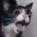 AAAAAAA AAAAAAA