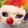 ASS_catclown
