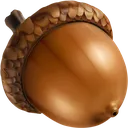 NUT