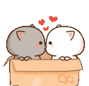 kittykiss Discord emoji
