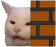 cattypeek Discord emoji