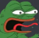 WtfPepe Discord Emoji