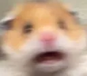 FP_holyshook