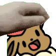 PETTHEEEVEEBUTREALLYFAST