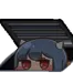 rabiVentLurk