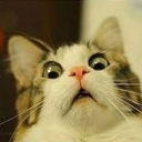 catyowhat Discord emoji