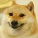 doghehe