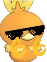 cool_torchic cool_torchic