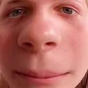 Bonk