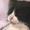 Marlboro