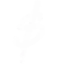 760898345438150708 760898345438150708