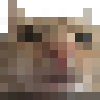 swg Discord emoji