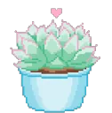 succulentHeart