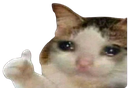 :sadcatok: