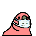 parrotmask