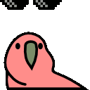 dealwithitrainbow