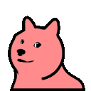 rainbowdoge
