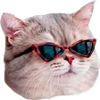 coolBruh