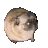 PugDance