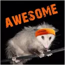 AwesomeOpossum