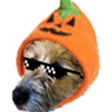 sladeZippy