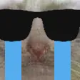 sadcat_cool