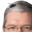 TimFly TimFly