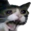 CatScream