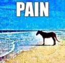 horsePain