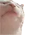 jamcat