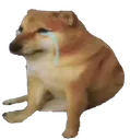sad_doge