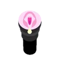 Fleshlight_DT