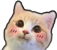 Hewowo