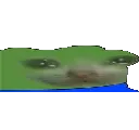 widepeeposadcat widepeeposadcat