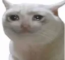 CatCry