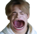 MemeScream