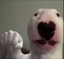 WalterPunch WalterPunch