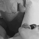 n_cumshot_DT