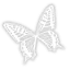 Whitebutterfly