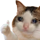 TCC_CatSadThumbs