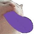 catJAMSucc