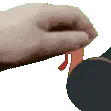 TE_StrokeTheTurkey